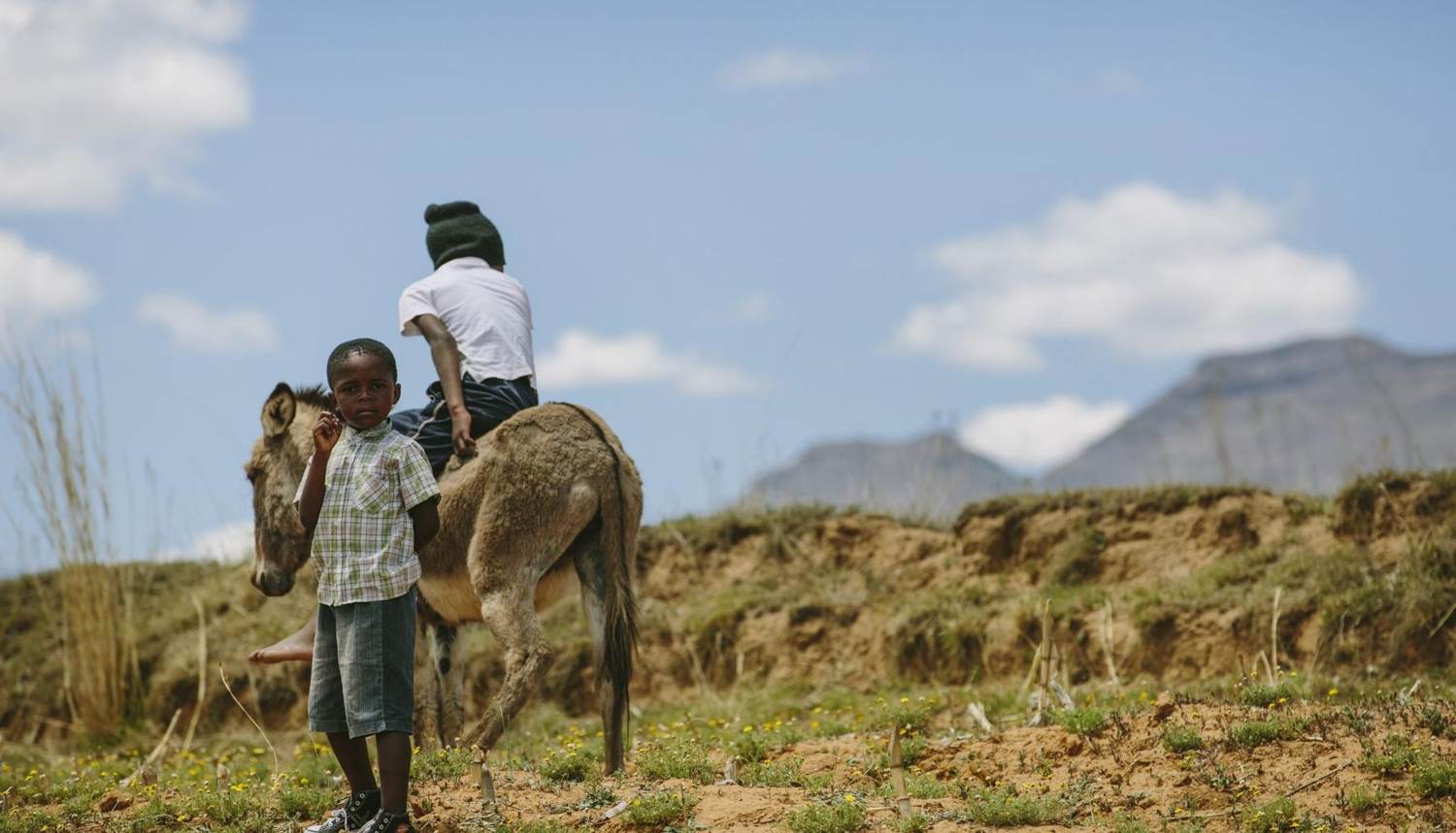 A young rider in the valley