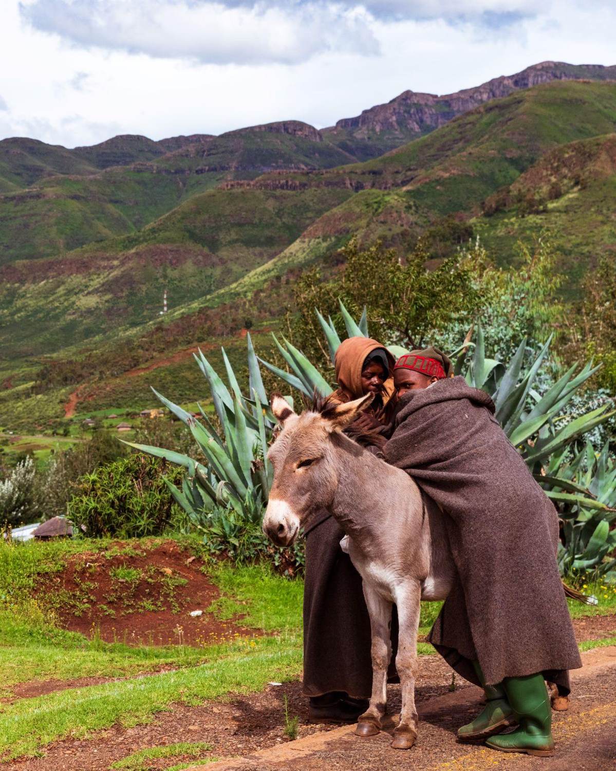 Blankets against the mountain wind