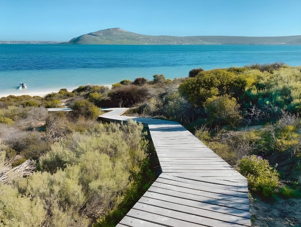 A boardwalk through the fynbos down to the beach