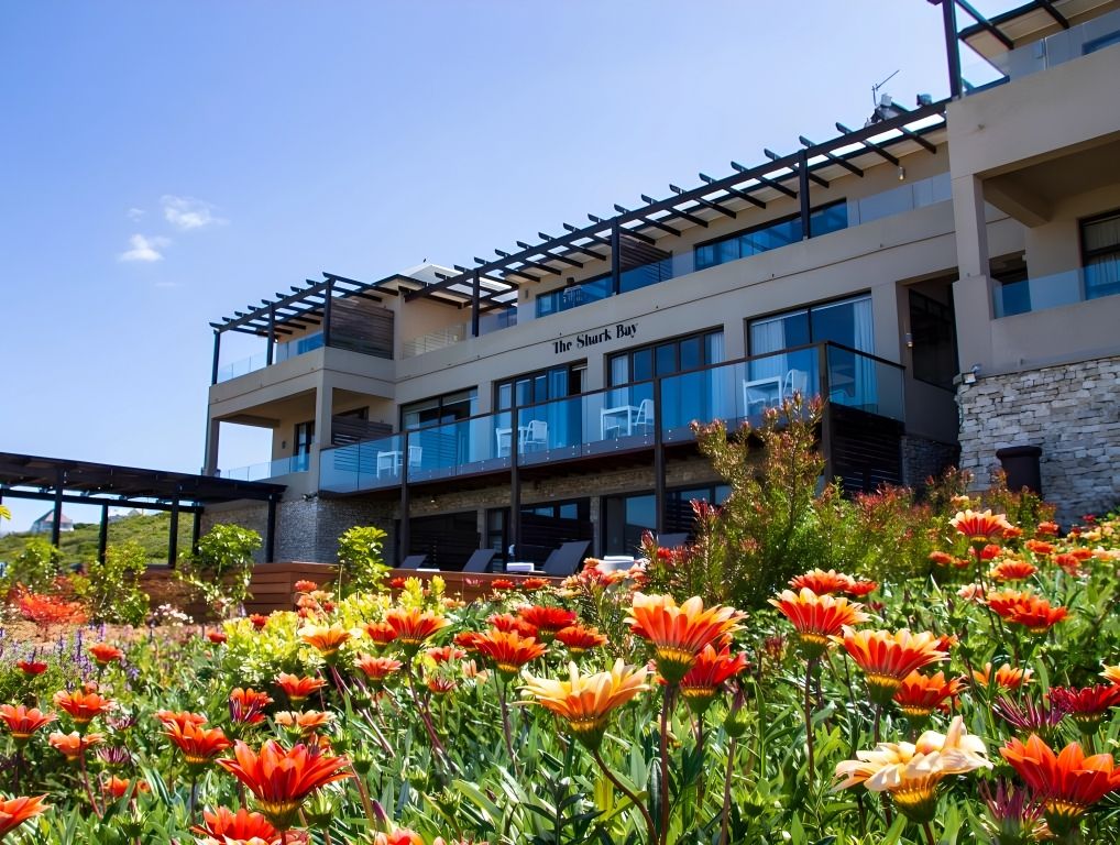 The hotel behind a bank of orange gazanias