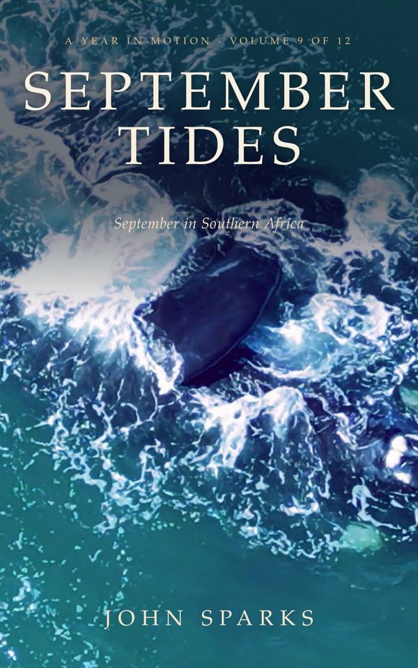 Cover of September Tides by John Sparks: a whale beneath the surface, seen from above